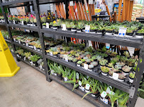 Lowe's Home Improvement - Photo 4 - Car repair in Palmdale, CA, Lancaster