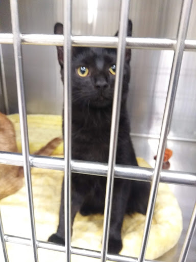 Pet Supply Store «PetSmart», reviews and photos, 3450 N Morrison Rd, Muncie, IN 47304, USA