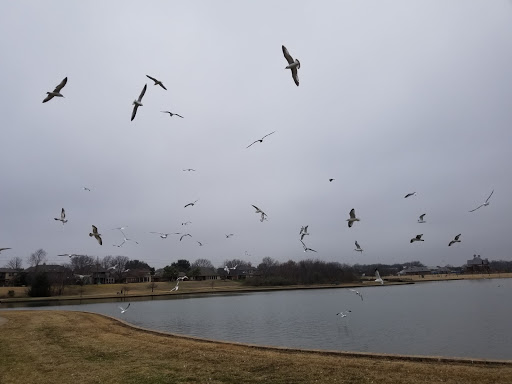 Recreation Center «The CORE», reviews and photos, 234 Parkway Blvd, Coppell, TX 75019, USA
