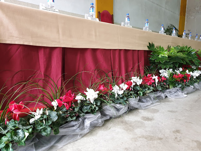 Opinii despre Horto Flor do Penedo Lda în Felgueiras - Jardinagem