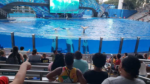 Aquarium «Shark Encounter», reviews and photos, 7007 Sea World Dr, Orlando, FL 32821, USA