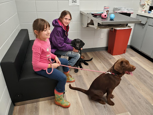 Clearview Animal Hospital image