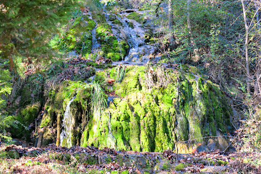 Grocery Store «Natural Bridge General Store», reviews and photos, 593 Wert Faulkner Hwy, Natural Bridge Station, VA 24579, USA