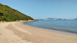 Sam Pak Wan Beach'in fotoğrafı vahşi alan