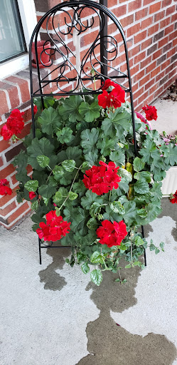 Bridal Shop «Sew N Sew Bridal & Tuxedo», reviews and photos, 191 NJ-15 #108, Lafayette Township, NJ 07848, USA