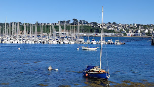 Photo n°29 de Le Goéland Farceur à Camaret-sur-Mer ()