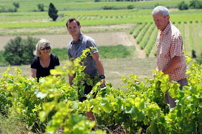 Domaine des Schistes à Estagel