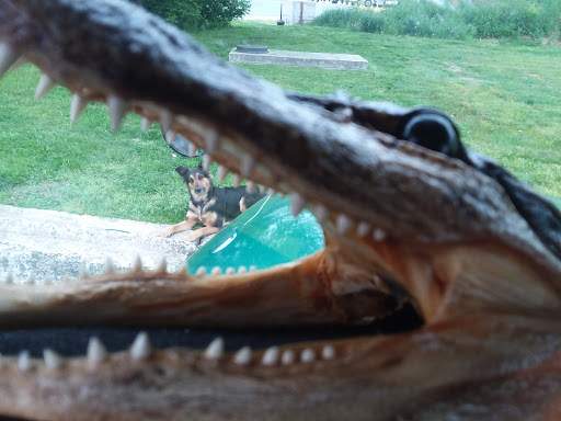 Convenience Store «Pilot Travel Center», reviews and photos, 979 NJ-173, Bloomsbury, NJ 08804, USA