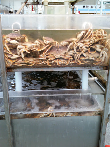 Asian Grocery Store «Me-Kong Supermarket», reviews and photos, 777 E Capitol Ave, Milpitas, CA 95035, USA