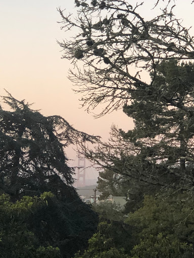 Disc Golf Course «Golden Gate Park Disc Golf Course», reviews and photos, 99 Marx Meadow Dr, San Francisco, CA 94121, USA