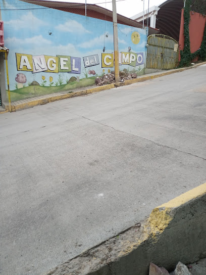 JARDIN DE NIÑOS ANGEL DEL CAMPO