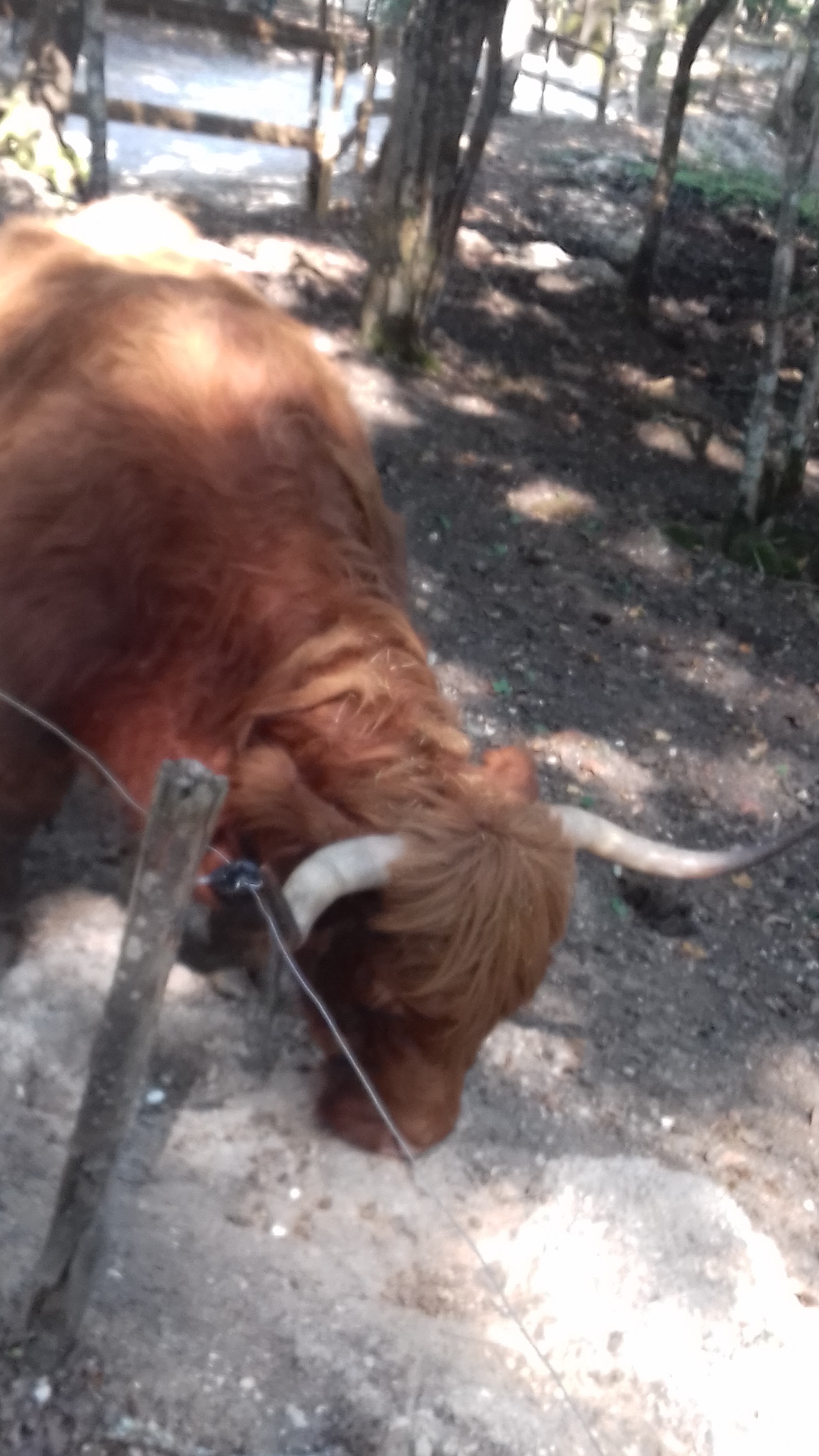 Photo n° 9 de l'avis de Laurent.o fait le 20/08/2018 à 10:25