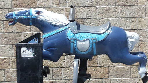 Discount Store «Dollar General», reviews and photos, 125 W Belt Ave, Bushnell, FL 33513, USA