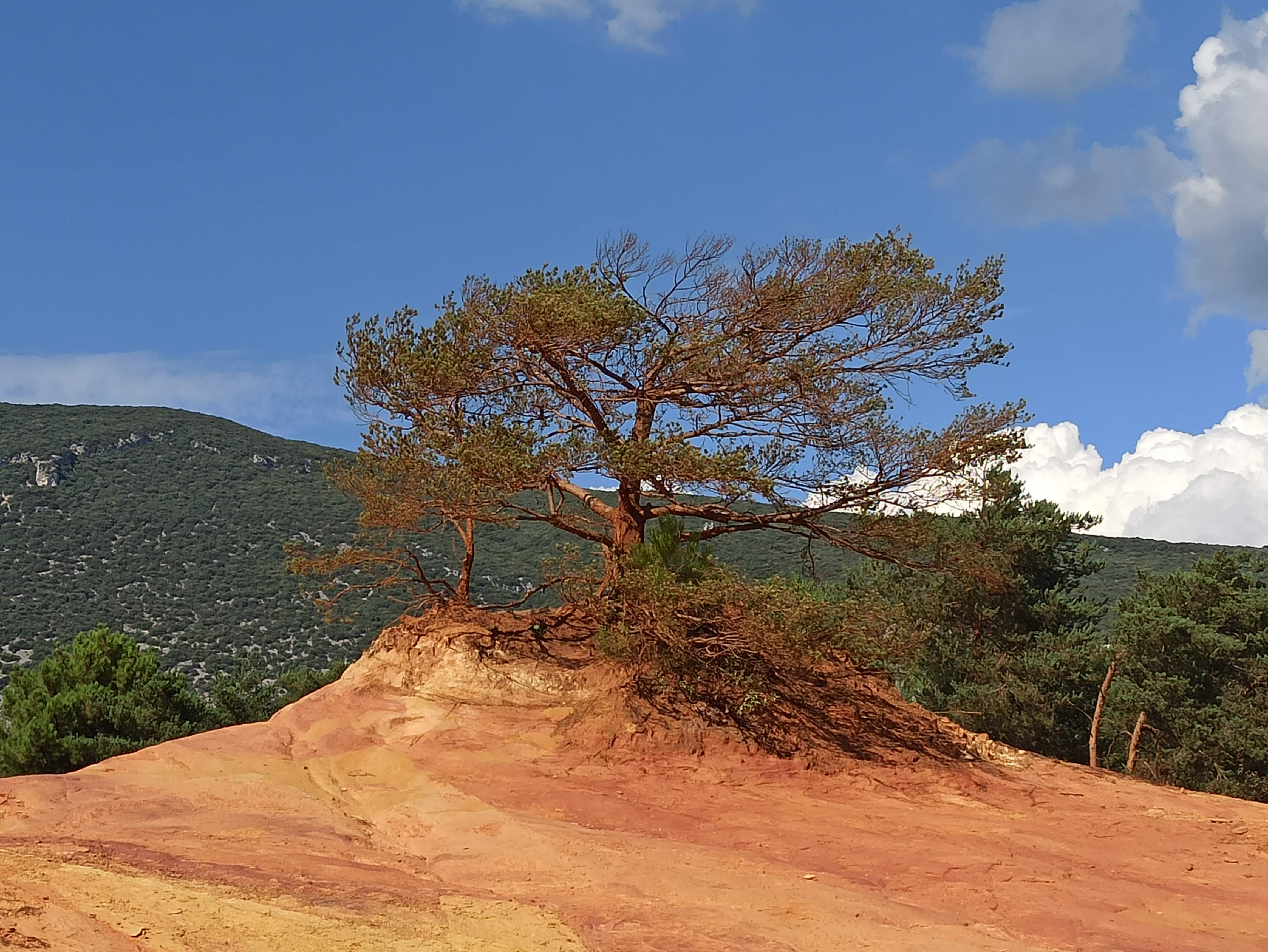 Photo n° 2 de l'avis de Jordan.a fait le 15/09/2021 à 13:26