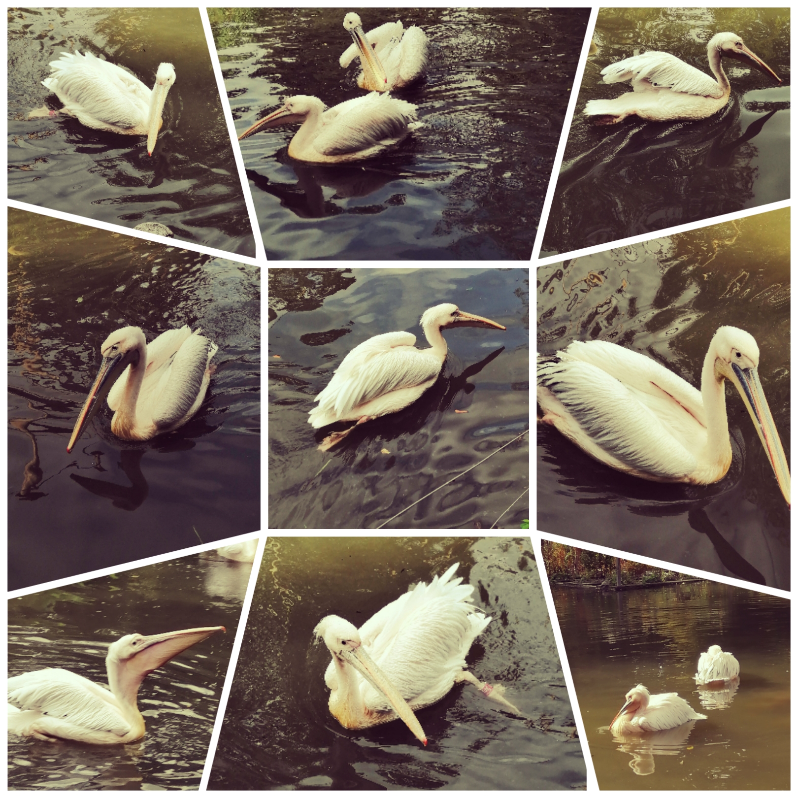 Photo n° 3 de l'avis de Amandine.o fait le 15/09/2020 à 14:08