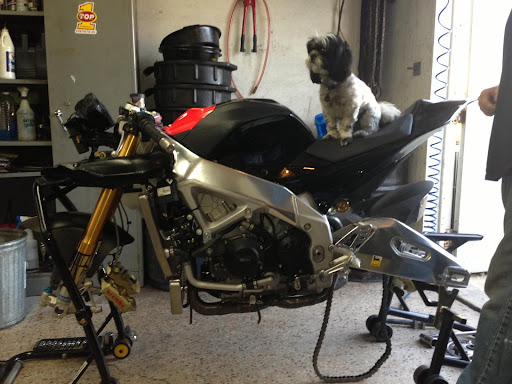 Motorcycle Shop «G P Bikes Inc», reviews and photos, 493 Babcock St, Melbourne, FL 32935, USA