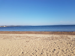 Photo de Station beach avec #42