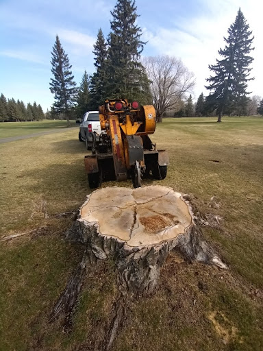 Alberta Arborists