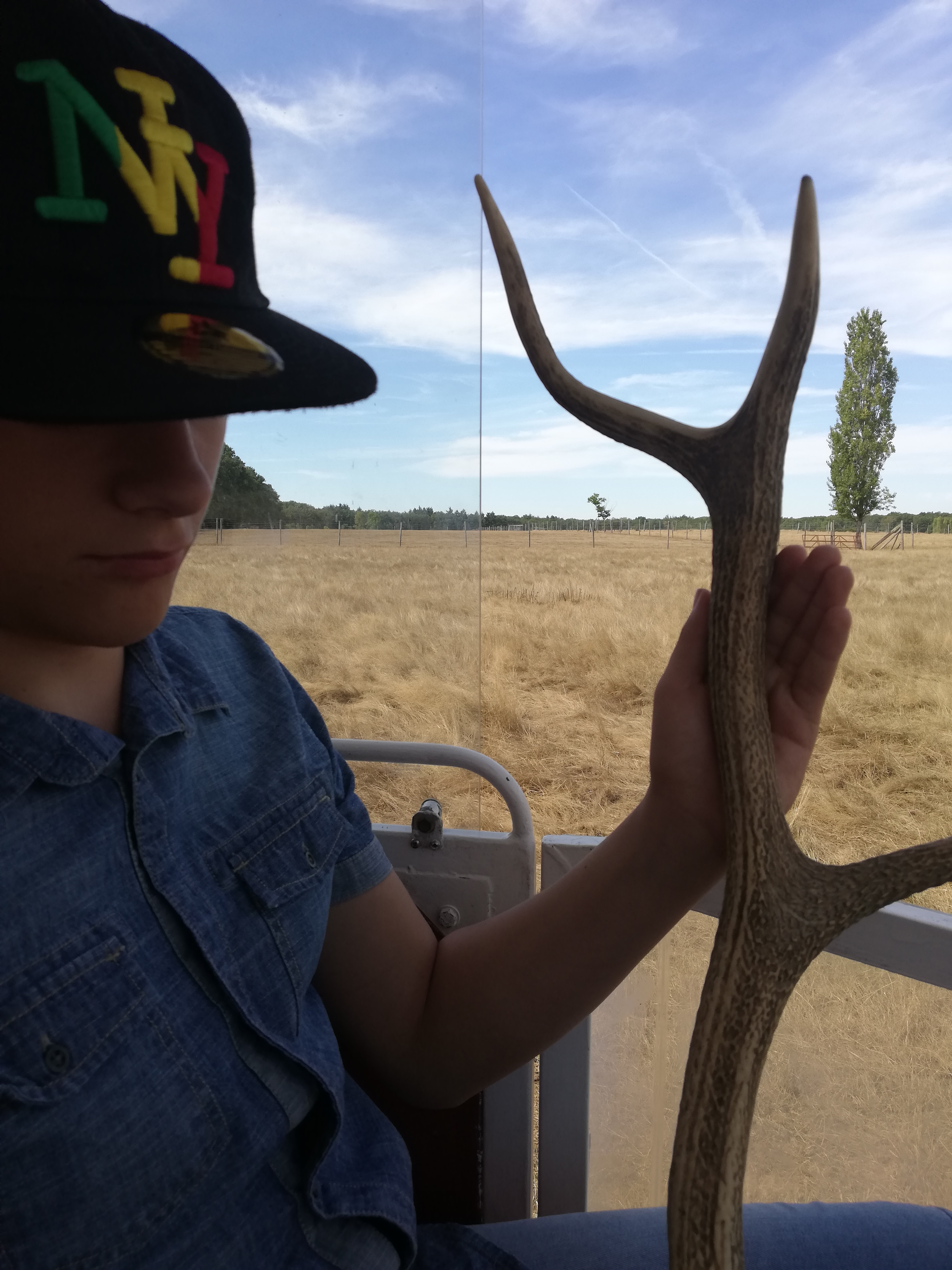 Photo n° 17 de l'avis de Severine.e fait le 23/08/2019 à 23:18