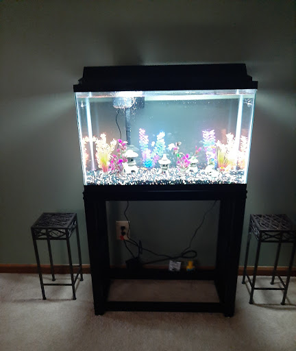 Pet Supply Store «Petco Animal Supplies», reviews and photos, 415 E University Dr, Granger, IN 46530, USA