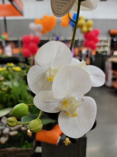 Home Improvement Store «The Home Depot», reviews and photos, 701 W Edgar Rd, Linden, NJ 07036, USA