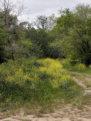 Cut Off Park - photo 95