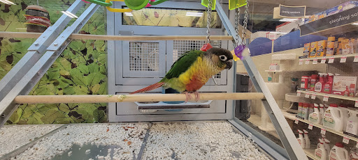 Pet Supply Store «PetSmart», reviews and photos, 1505 11th Ave NW, Issaquah, WA 98027, USA