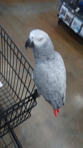 Pet Supply Store «Petco Animal Supplies», reviews and photos, 3975 Cascades Blvd #30, Kent, OH 44240, USA