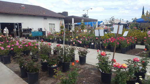 Gift Shop «Blue Hills Nursery & Gift Shop», reviews and photos, 16440 Whittier Blvd, Whittier, CA 90603, USA