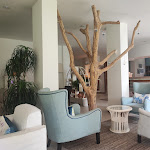 Photo n°3 de l'avis de The.a fait le 21/07/2023 à 11:16 sur le  Hotel Andreaneri à Marina di Pietrasanta