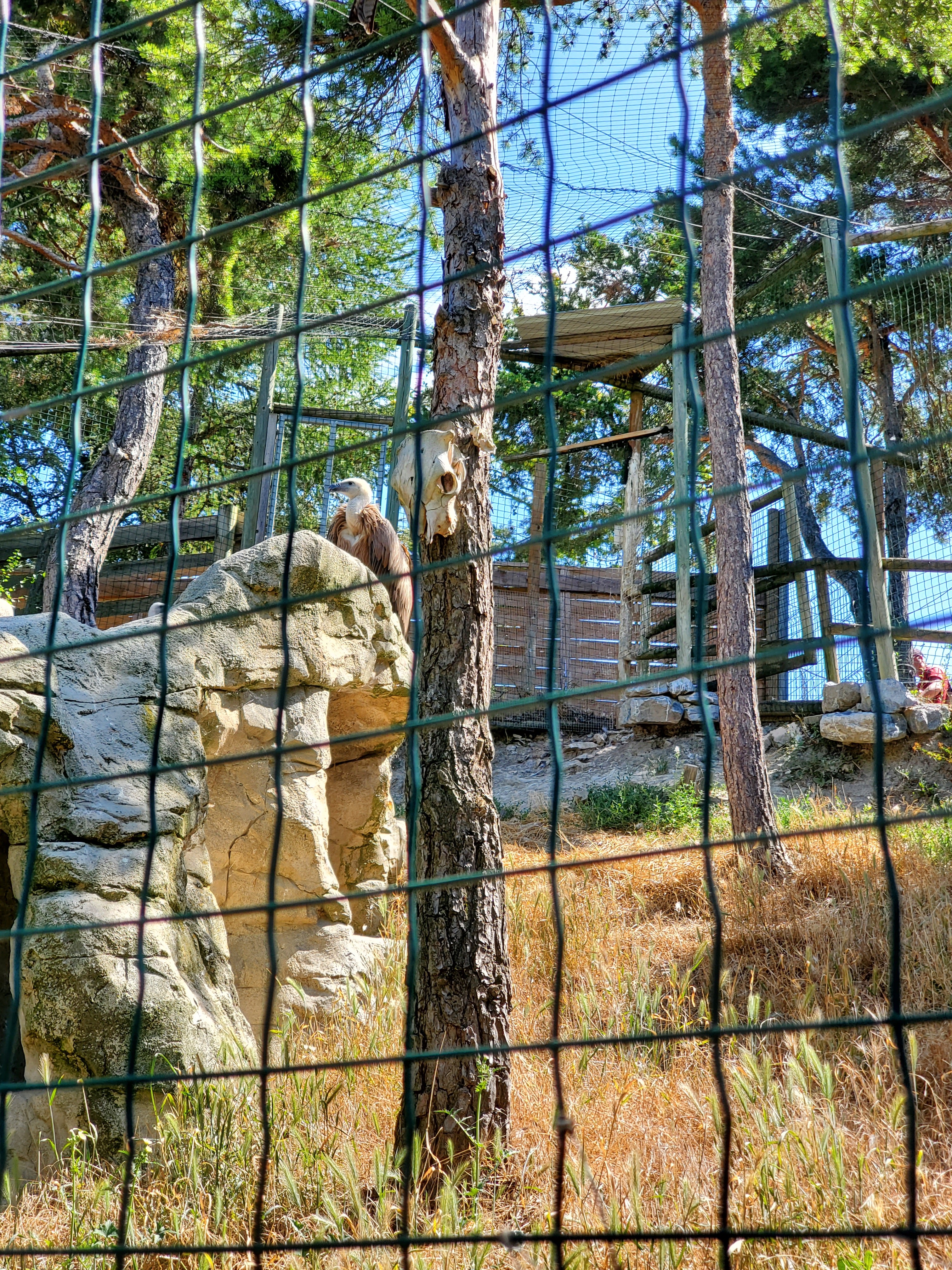 Photo n° 2 de l'avis de Lynda.e fait le 15/08/2023 à 10:47