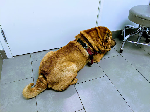 4834 Lincoln Blvd, Marina Del Rey, CA 90292, USA