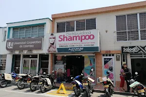 Distribuidora Shampoo image