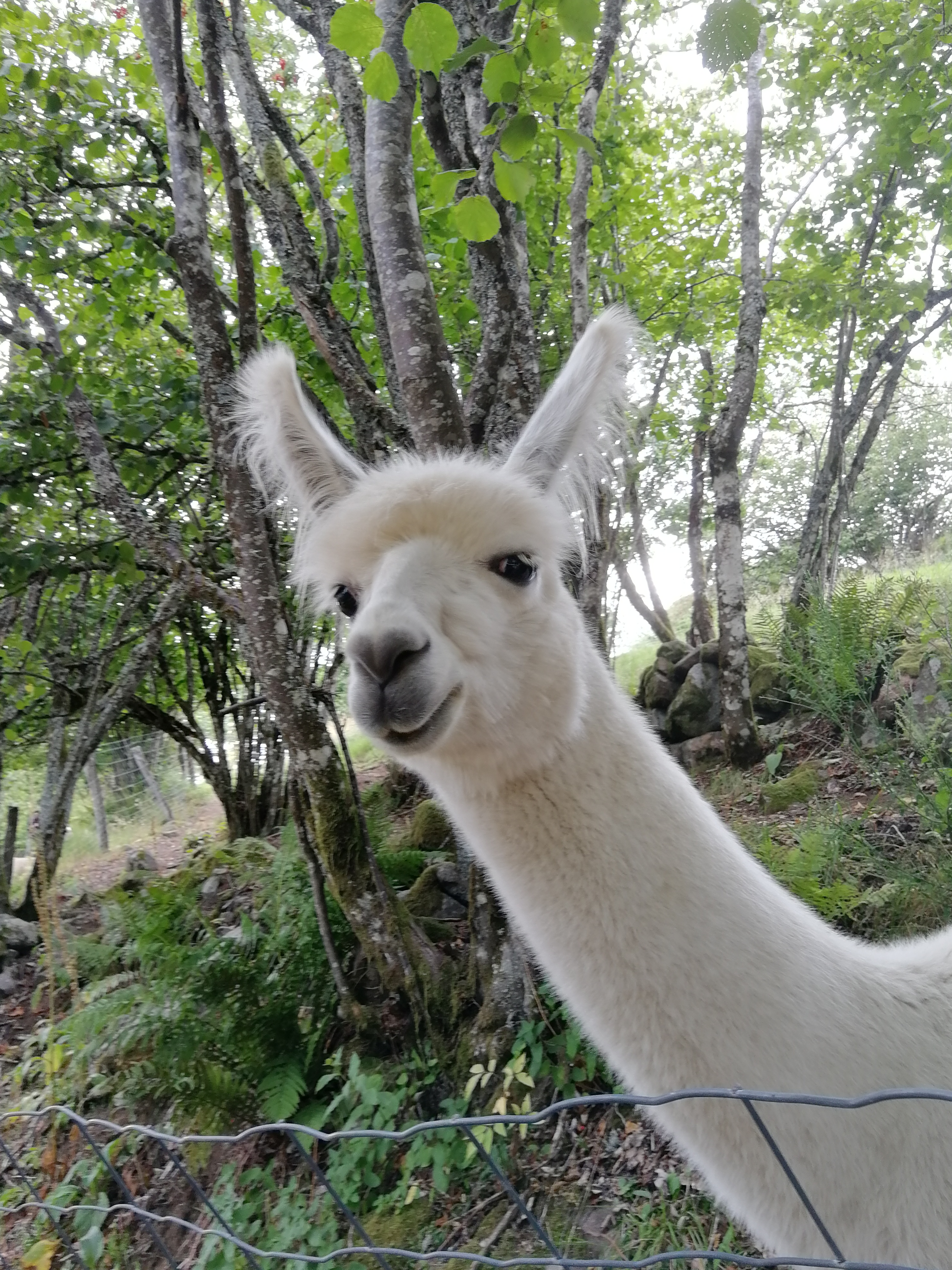 Photo n° 1 de l'avis de Nicolas.a fait le 19/08/2020 à 08:36