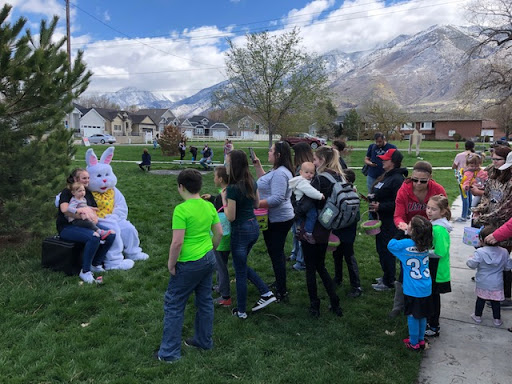 Insurance Agency «American Family Insurance - Lance Paulson Insurance Agency Inc», reviews and photos