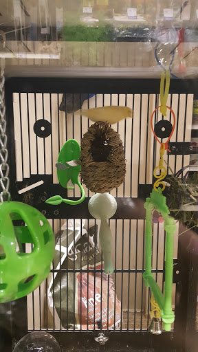 Pet Supply Store «PetSmart», reviews and photos, 1157 E North Ave, Belton, MO 64012, USA