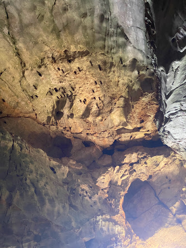 Top 20 blook cửa hàng Quận Ngũ Hành Sơn Đà Nẵng 2022