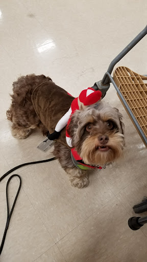 Pet Supply Store «Petco Animal Supplies», reviews and photos, 993 Branson Hills Pkwy, Branson, MO 65616, USA