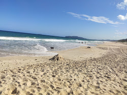 Photo de Praia do Moiambique zone sauvage