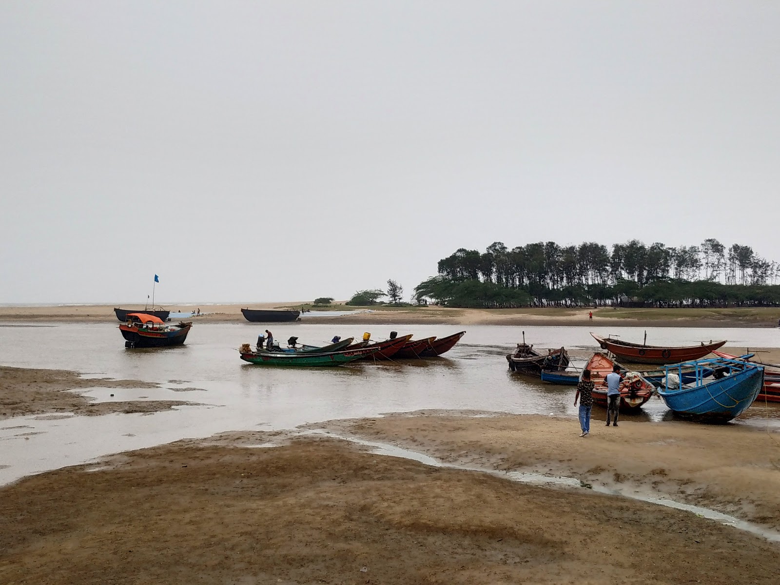 Talsari Beach photo #8