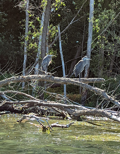 Park «Lake Front Park», reviews and photos, 23000 Jefferson Ave, St Clair Shores, MI 48080, USA