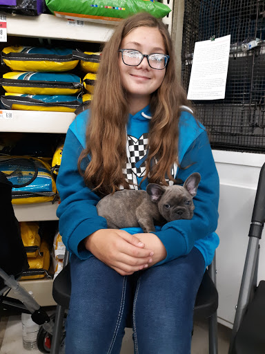 Pet Supply Store «Pet Supplies Plus», reviews and photos, 2649 E Grand River Ave, Howell, MI 48843, USA