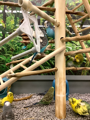 Pet Supply Store «Petco Animal Supplies», reviews and photos, 4913 Main St, Spring Hill, TN 37174, USA