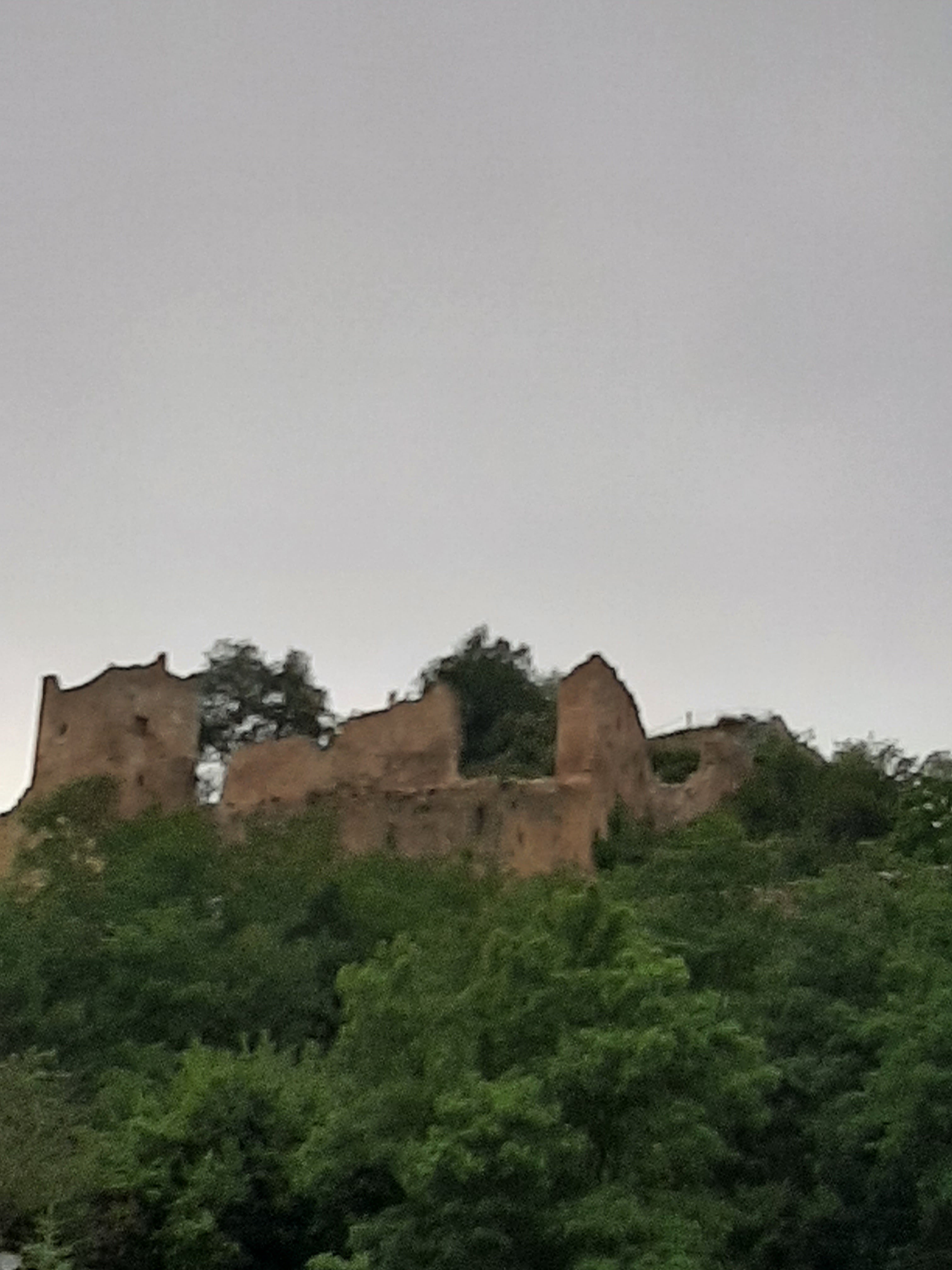 Photo n° 2 de l'avis de Frederique.e fait le 23/06/2021 à 09:29