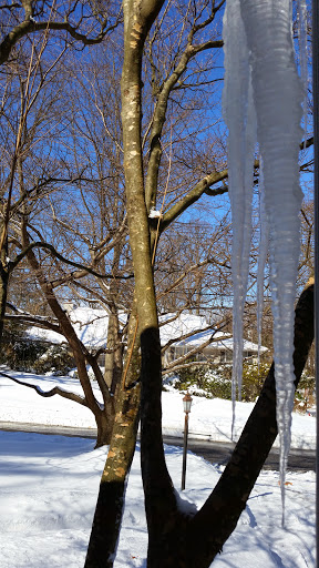 Golf Course «Saxon Woods Golf Course», reviews and photos, 315 Mamaroneck Rd, Scarsdale, NY 10583, USA