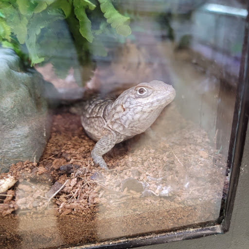 Pet Supply Store «Pet Food Center», reviews and photos, 4036 N First Ave, Evansville, IN 47710, USA