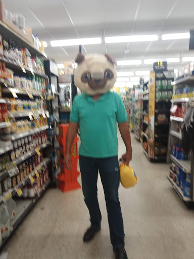 Discount Store «Dollar General», reviews and photos, 513 S Congress Blvd, Smithville, TN 37166, USA