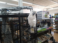 Exotics & Aquatics - Photo 7 - Car repair in Bayonne, NJ, Staten Island