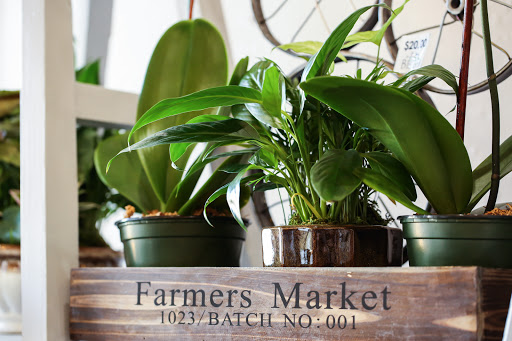 Florist «In Bloom Florist - Heathrow, Florida», reviews and photos, 1210 International Pkwy, Lake Mary, FL 32746, USA