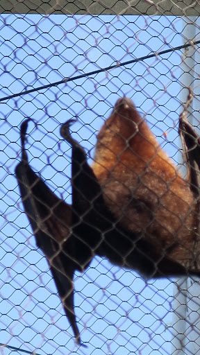 Zoo «Rainforest Pyramid», reviews and photos, 1 Hope Blvd, Galveston, TX 77554, USA